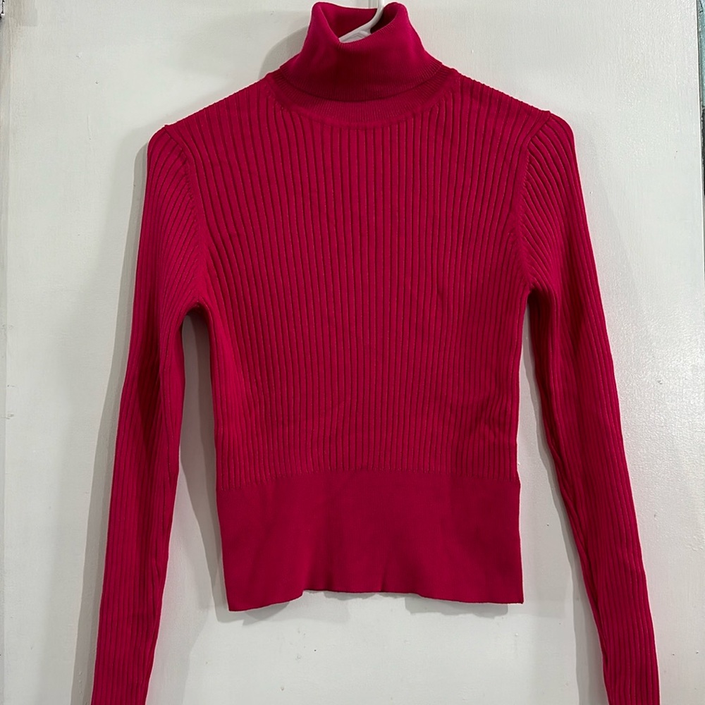 Zara Turtleneck Ribbed Knit Sweater